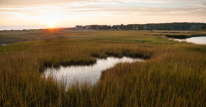 Sunset on Cape Cod with tide pool and marsh grasses in foreground.