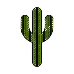 cactus plant isolated icon vector illustration design