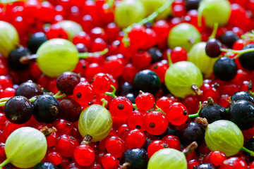 Berries. Red and black currants, gooseberries. Background. Macro