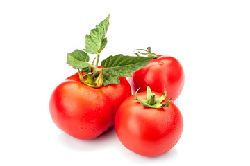 Tomato