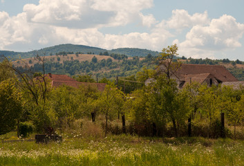 Fototapeta na wymiar rural village landscape