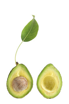 Two slices of avocado . One slice with core.