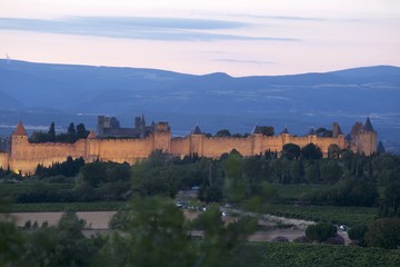 Fototapeta premium cite de carcassonne