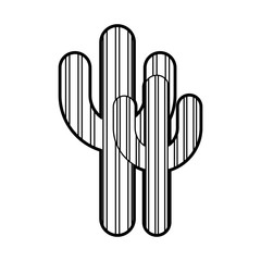 cactus plant isolated icon vector illustration design