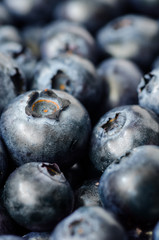 Fresh Blueberries