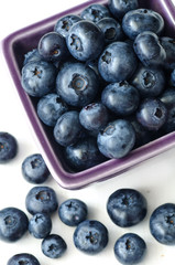 Fresh Blueberries