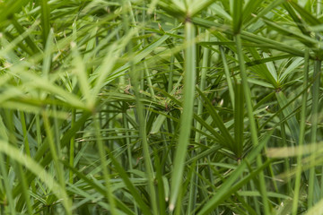 Textures and nature