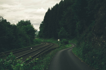 Dark forest railroad background - 164836000