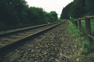 Dark forest railroad background - 164836098
