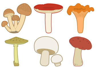 Colorful mushrooms vector set. Different mushrooms.