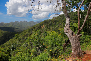 Obraz premium Farola road between Santiago and Baracoa in Cuba
