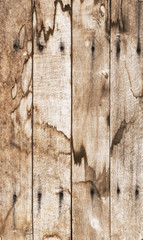 Old wood board vertical grunge texture background