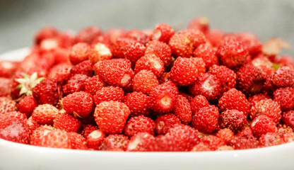 Wild strawberry in white plate close