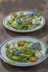 plate of sliced avocado on toast bread with spices and mozzarellaon with borage decoration on wooden background