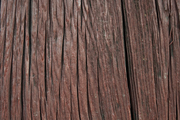 old wood background