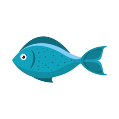 sea fish isolated icon vector illustration design