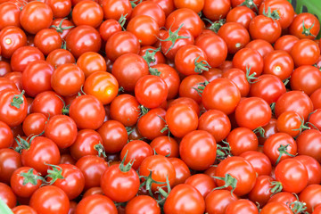 Delicious red tomatoes. A pile of tomatoes. Summer tray market agriculture farm full of organic tomatoes. Fresh tomatoes. It can be used as background