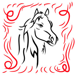 Horse head, silhouette on a white background.