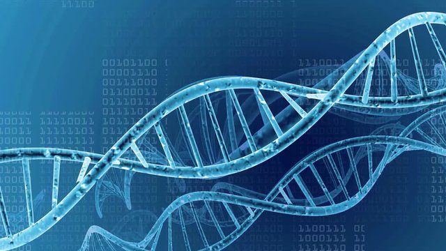 DNA data connectivity, medical background 