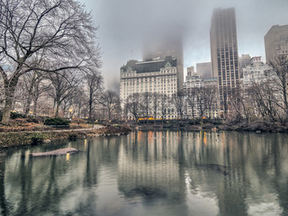 Central Park, New York City winter