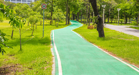 Green bicycle path in the park