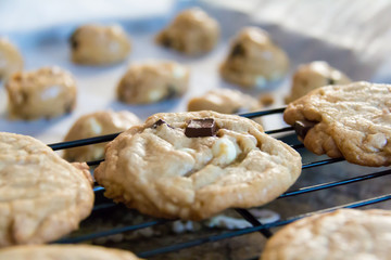 Homemade Chocolate Chunk Cookies