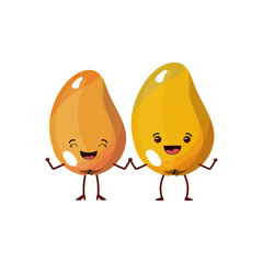 white background with realistic pair of mango fruits caricature vector illustration