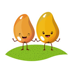 white background with realistic pair of mango fruits caricature over grass vector illustration