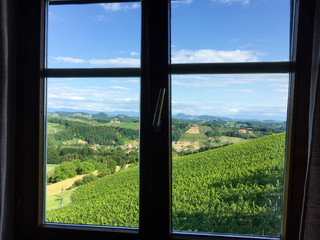 room with a view - looking over the wine yards of gamlitz/austria