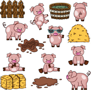 Farm pig collection set