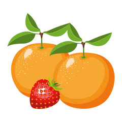 white background with realistic set of fruits orange and strawberry vector illustration
