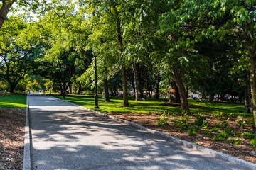 Shady Park