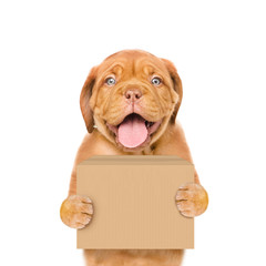 Funny dog delivering a big package. isolated on white background