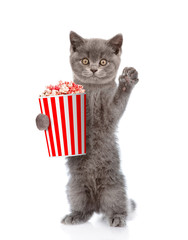 Funny kitten with popcorn. isolated on white background