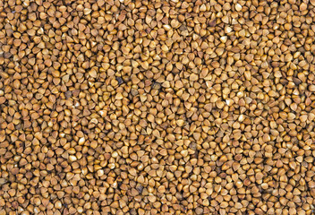 Raw brown buckwheat grain. Food texture or background