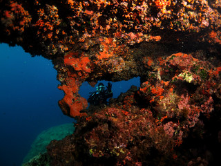Fototapeta na wymiar South Reef - Cirkewwa Dive Site - Malta