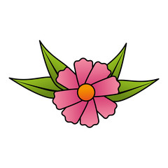 cute flower decorative icon vector illustration design