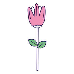 cute flower decorative icon vector illustration design