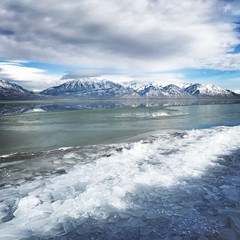 Ice Shards of Utah Lake