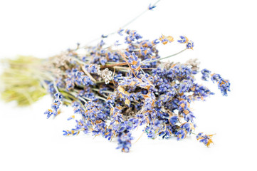 Lavender flowers against on isolated white background