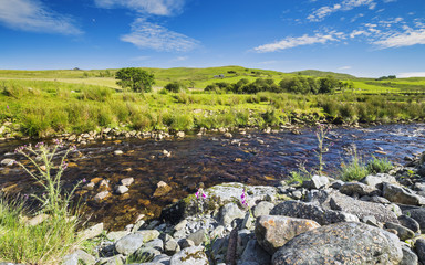 Shallow River Across Green Grazing Hills of Snowdonia in Wales