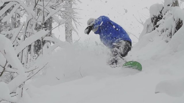 snowboarder Freerider rides in the forest