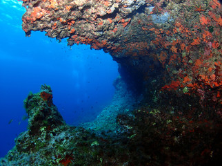 Naklejka na ściany i meble Wied iz-Zurrieq - East Reef - Malta
