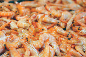 Fresh pink shrimp in bulk at a seafood market in Brittany, France