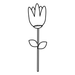 cute flower decorative icon vector illustration design