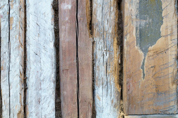 Rough wooden texture timber logs