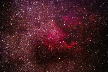 The North America Nebula and the Pelican Nebula in the constellation Cygnus as seen from Stockach in Germany. © David Hajnal