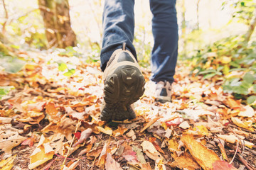 Man walking on a forest path in autumn