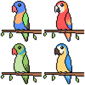 vector pixel art set parrot