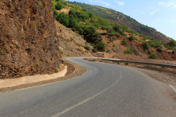 curvy mountain road, Asphalt road in summer forest, morocco lanscape.